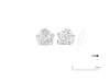 図版 213-J338.png
