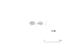 図版 213-J387.png