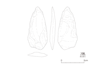 図版 213-S108.png