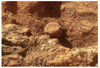 FileNo.214-072.png