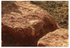 FileNo.214-079.png