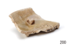 FileNo.214-185.png
