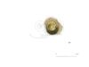 図版 214-J427.png