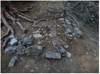 FileNo.216-038.png