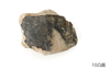 FileNo.216-047.png