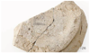 FileNo.216-077.png