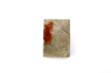 FileNo.216-081b.png