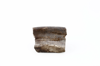 FileNo.216-090b.png