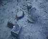 FileNo.148a-008.jpg