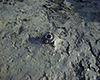 FileNo.148a-012.jpg