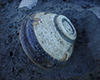 FileNo.148a-013.jpg