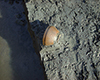 FileNo.148a-014.jpg