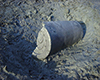 FileNo.148a-022.jpg