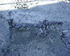 FileNo.148a-033.jpg