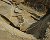 FileNo.148a-046.jpg