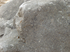FileNo.148a-050.jpg