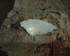 FileNo.148a-059.jpg