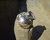 FileNo.148a-060.jpg