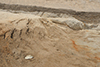 FileNo.148a-076.jpg