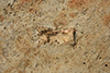 FileNo.148a-097.jpg
