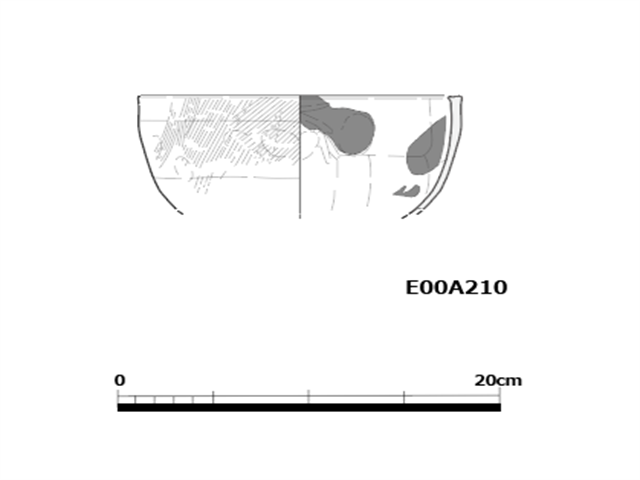 図版 E-00A210.png