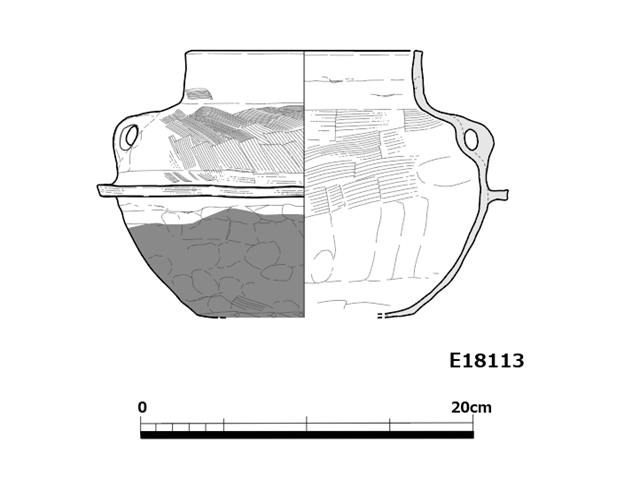 図版 E-18113.png