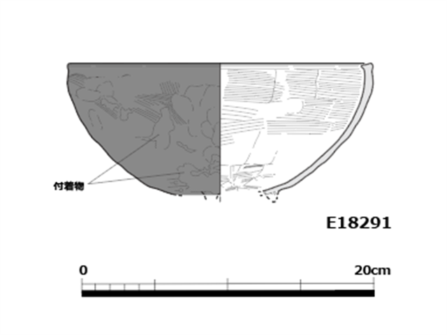 図版 E-18291.png