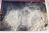 FileNo.148b-001.jpg