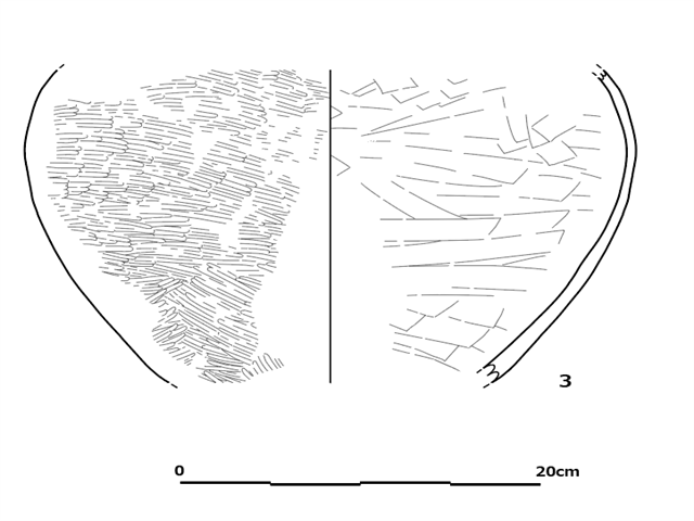 図版 E03.png