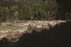 FileNo.215-003.jpg