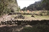 FileNo.215-004.jpg