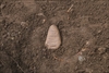 FileNo.215-014.jpg