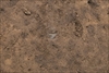 FileNo.215-015.jpg