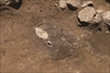 FileNo.215-016.jpg