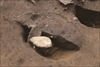 FileNo.215-018.jpg