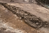 FileNo.215-019.jpg