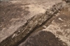 FileNo.215-022.jpg