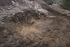 FileNo.215-023.jpg
