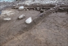 FileNo.215-025.jpg