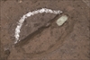 FileNo.215-033.jpg