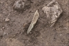 FileNo.215-034.jpg