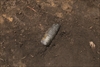 FileNo.215-039.jpg