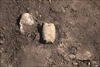 FileNo.215-042.jpg