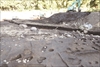 FileNo.215-048.jpg