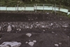 FileNo.215-054.jpg