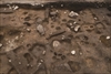 FileNo.215-061.jpg