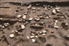 FileNo.215-062.jpg