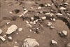 FileNo.215-068.jpg