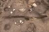 FileNo.215-069.jpg