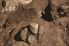 FileNo.215-070.jpg